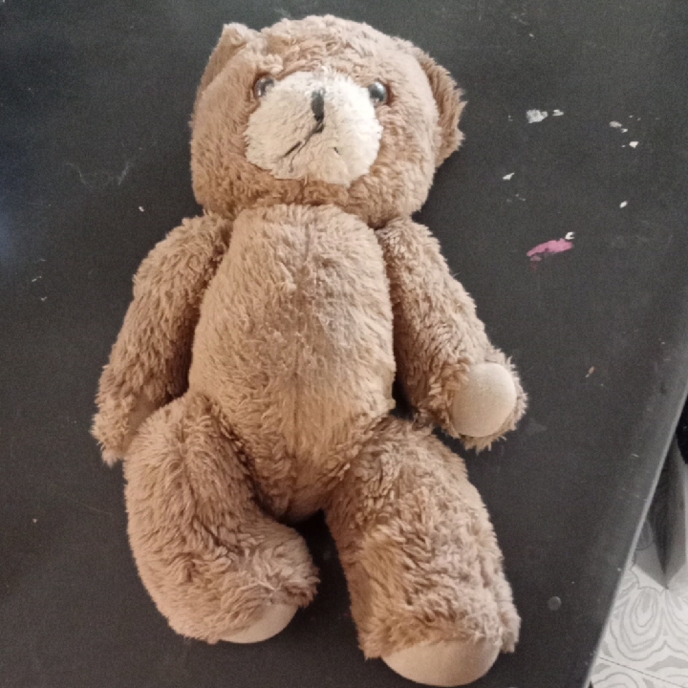 Misfit Teddy Bear Looking For A Sweet Human Who Can Feel His energy.